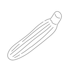 Doodle-style icon showcasing a hand-drawn black sketch of a zucchini. Vector editable stroke.