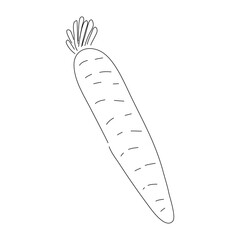 Illustration of a carrot in a doodle style with a hand-drawn black sketch. Vector editable stroke.