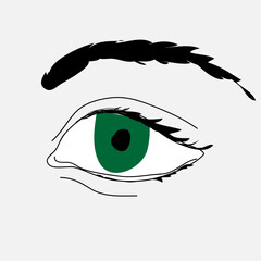 Vector illustration of a hand drawn eye and eyebrow