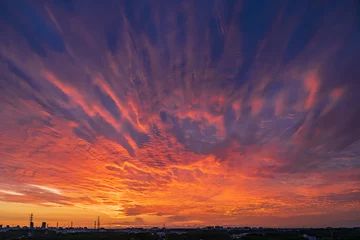 Rolgordijnen 初秋に映る一面の朝焼け雲 © morin5780