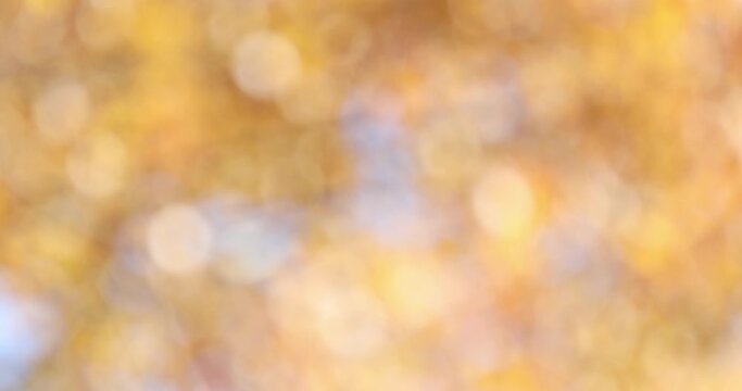 Spring natural bokeh seamless background or backdrop with sun light