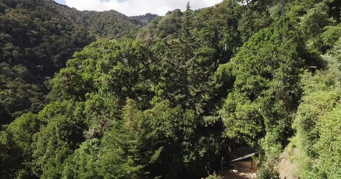 Beautiful view on the hills and rainforest surrounding San Gerardo de Dota in mist, beautiful Costa Rica Wilderness landscape
