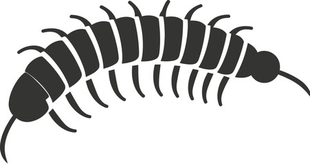 Centipede Insect icon