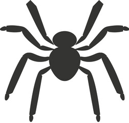 Spider Insect icon