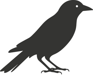 Crow bird icon