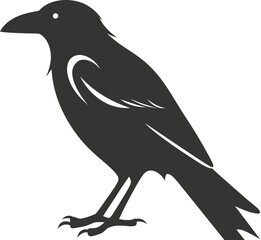 Common raven bird icon