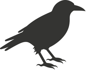 Crow bird icon
