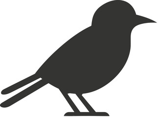 jay bird icon