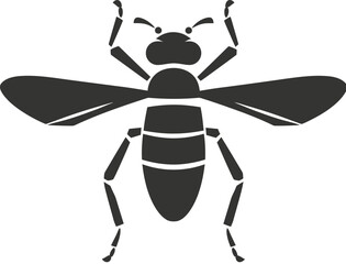 Cricket Insect icon
