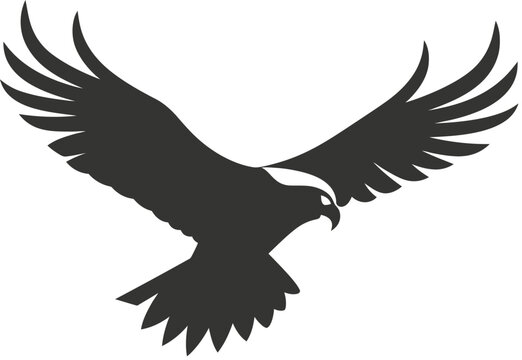 Osprey bird icon