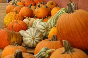 Festive arrangement of seasonal pumpkins in a pile. 