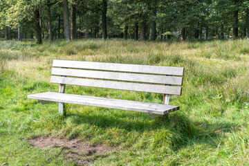 bench in the park in the late summer