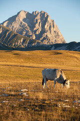 Gran Sasso at sunrise