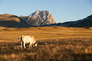 Gran Sasso at sunrise