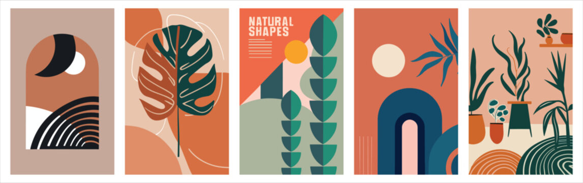 Natural Shapes Images – Browse 2,344,980 Stock Photos, Vectors