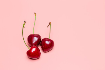 Red cherries on a pink background. Copy space for text.
