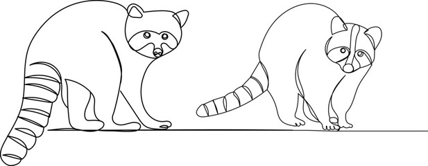 raccoons line drawing, sketch, on a white background, vector
