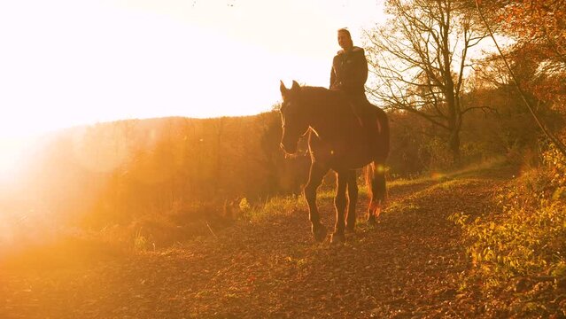 LENS FLARE: Golden autumn nature and a woman horseback riding along leaf covered footpath. She is enjoying beautifully coloured landscape that surrounds her while riding a brown horse in sunset light.