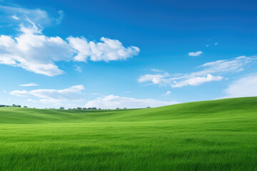 Obraz premium green field and blue sky