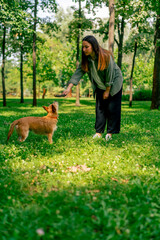 portrait of a young girl walking in the park with her dog, playing with a stick and teasing him with it