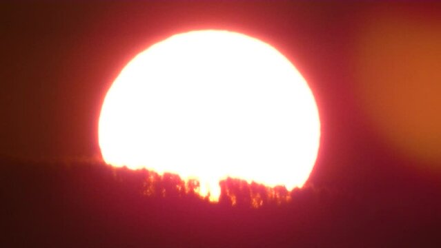 Red sky and moving white sun disc during sunrise over horizon with trees in wintertime - real time. Sun disc with Atmospheric refraction - distorted shape caused by atmospheric optical phenomenon.