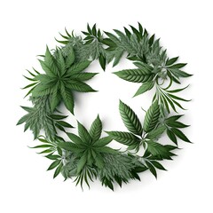 a wreath of cannabis plants on white background 