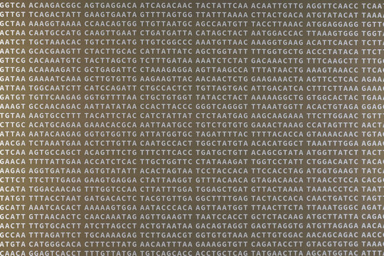 Letters A C G T arranged randomly. ACGT represent nucleobase adenine, cytosine, guanine and thymine found in DNA, part of covid 19 genome structure
