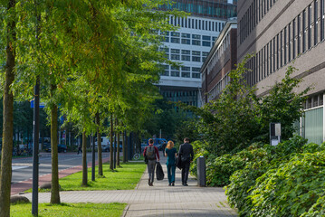 Modern green ecological student campus in Europe. Rotterdam, Netherlands