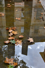 Herbst in Palma de Mallorca