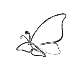 Minimal Butterfly illustration. Simple butterfly draw in stylized ink brush drawing vector design.