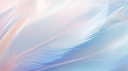 Delicate patterns of a feather in fractal form, with soft whites, grays, and pastel blues.