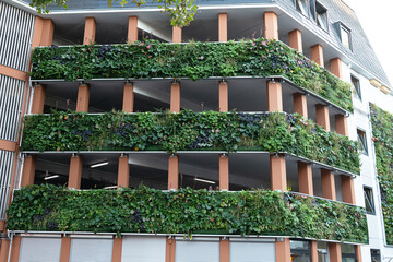 Fassade bepflanzt mit grünen Pflanzen
