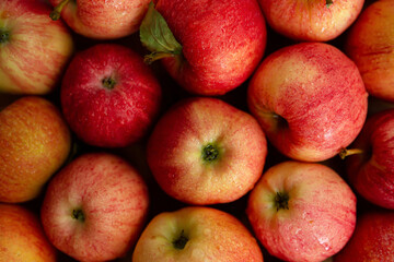 Apples of red-yellow color close-up