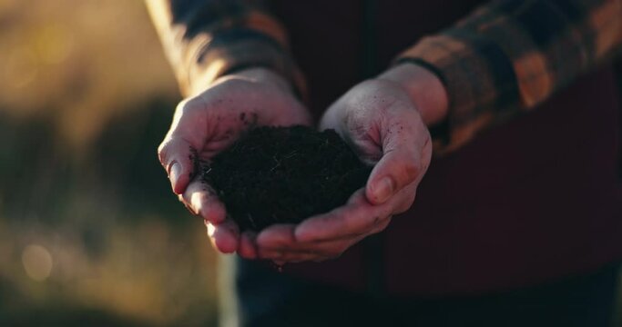 Farming, hands and checking soil or dirt of agriculture, fertilizer and natural nutrition for seeds. Person farmer, closeup and eco friendly compost for growth, sustainability and agro in field