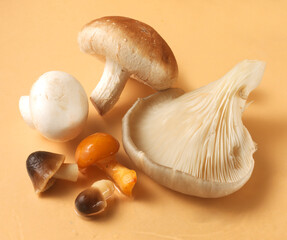 Pilze, Shitake, Austernpilze, Champignons, Stockschwämmchen, Freisteller, gemischte Pilze,