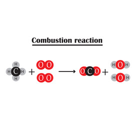Combustion reaction. The chemical formula for the combustion reaction.