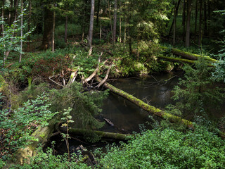 Romantisches Billetal bei Hamburg