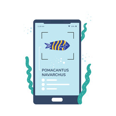 Pomacantus navarchus small fish on smartphone screen, view and description of blue fish yellow striped vector web app
