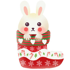 Rabbit in sock Christmas