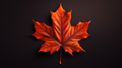Autumn maple leaf on plain background. Flat lay, top view