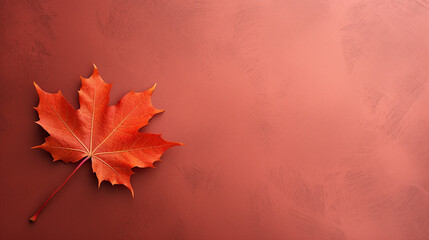 Naklejka na ściany i meble Autumn maple leaf on plain background. Flat lay, top view