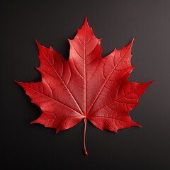 Autumn maple leaf on plain background. Flat lay, top view