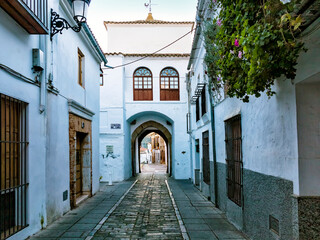 Historical Jerez Door in Zafra. Badajoz. Spain. Europe.