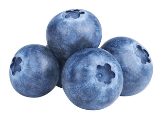 Blueberry berries isolated on white or transparent background. Heap of blue bilberry fruits