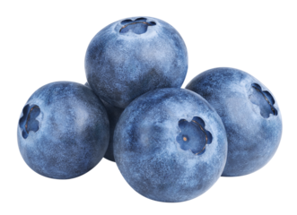 Blueberry berries isolated on white or transparent background. Heap of blue bilberry fruits