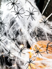A lot of small black spiders are hanging on a white web, Halloween holiday