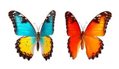 Un conjunto de mariposas muy hermosas con transiciones de color y las alas extendidas, aisladas en un fondo transparente.