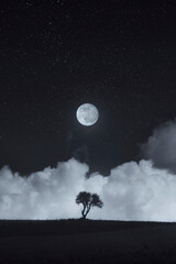 tree under full moon in night landscape