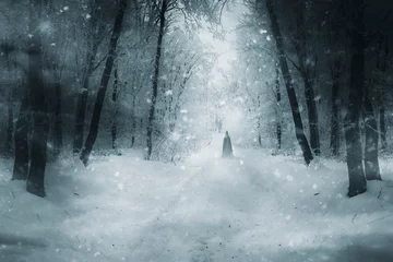 Foto op Plexiglas mysterious cloaked silhouette on snowy forest road, fantasy winter landscape © andreiuc88