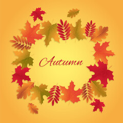 Autumn composition with frame of colorful fall leaves and the text Autumn. Autumn postcard design banner